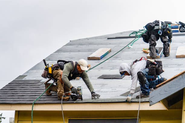 Professional Gutter Installation technician working in Cokato, MN